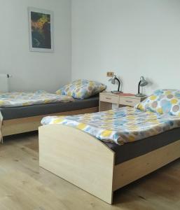 3 bedden staan in een kamer bij Ubytování v soukromí - Vila Eliška in Světlá nad Sázavou