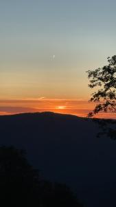 um pôr-do-sol sobre uma colina com uma árvore em primeiro plano em Gites Bretzel et Cigogne em Munwiller