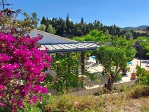 Κήπος έξω από το VILLA climatisée, avec 3 Chambres , Piscine, et terrain arboré