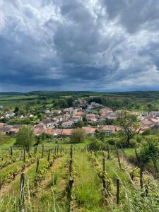 ViterneにあるMaison de campagne avec jardinの町を背景にした畑のぶどう畑