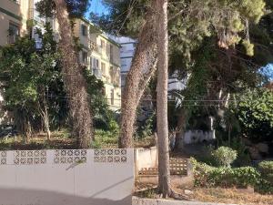 Vonkajšia záhrada v ubytovaní Terraza del Bajondillo Torremolinos