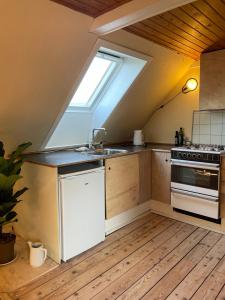 uma cozinha no sótão com um lavatório e uma janela em Pension Solvang em Rønne
