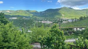 vistas a un valle con montañas en el fondo en Nice House, en Ijevan