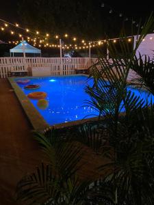 a swimming pool lit up at night with lights at Suncress Bed and Breakfast in Kingston