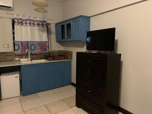 a kitchen with blue cabinets and a television on a dresser at Suncress Bed and Breakfast in Kingston