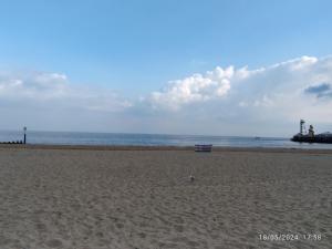 a bird standing on a sandy beach near the ocean at Blue Palms in Bournemouth