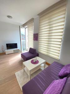 Μια τηλεόραση ή/και κέντρο ψυχαγωγίας στο Aledora Studio Apartment