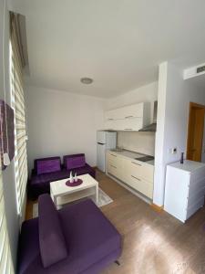 Η κουζίνα ή μικρή κουζίνα στο Aledora Studio Apartment