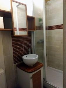 布齊耶比利牛斯2000的住宿－T2 pour 4 pers style chalet pied des pistes，一间带水槽和淋浴的浴室