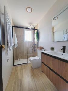 a bathroom with a shower and a sink and a toilet at Casa Verna Jacuzzi y Barbacoa in Murcia +60 photos