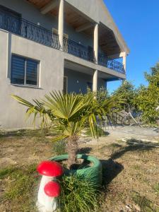 Κήπος έξω από το The Hideaway Guesthouse