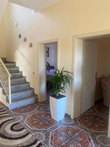 Φωτογραφία από το άλμπουμ του The Hideaway Guesthouse σε Bahçalleku