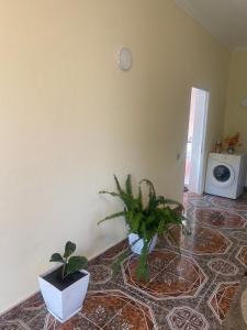 Φωτογραφία από το άλμπουμ του The Hideaway Guesthouse σε Bahçalleku
