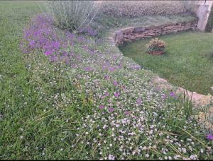 ロッカ・サン・ジョヴァンニにあるTenuta Porelloの紫白の花々が咲く芝生の庭