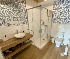W łazience znajduje się prysznic, umywalka i toaleta. w obiekcie Grandes Duplex nuevos con Jardin - 3 llaves, Los Gayoles Rural w mieście Castropol