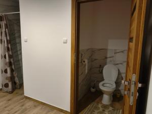 a bathroom with a white toilet in a room at Dolistówka in Goniadz