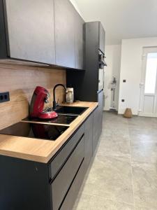 Gallery image of Apartments Nea in Vir