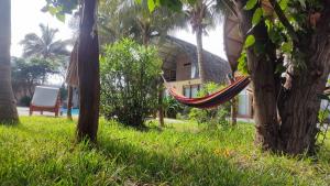 a hammock hanging from a tree in front of a house at Kites Mancora in Máncora
