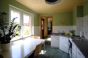 eine Küche mit grünen Wänden und einer Topfpflanze in der Unterkunft „Grüne Höhle“ in Schwerin in Schwerin