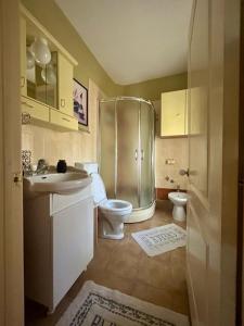 a bathroom with a shower and a toilet and a sink at Vila Nada Apartment in Vrnjacka Banja in Vrnjačka Banja