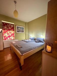 1 dormitorio con 1 cama grande en una habitación en Apartment in Vrnjacka Banja, en Vrnjačka Banja