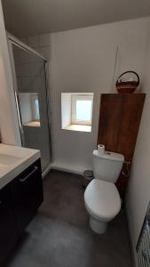 a bathroom with a toilet and a sink and a mirror at Gîte Le Grenier de l'Oasis de Chamousset in Brullioles