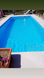 una gran piscina azul con una maceta de flores en Il Podere di Massi, en Barberino di Mugello