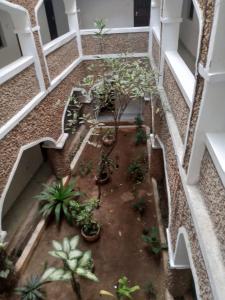 Imagen de la galería de Bahari Guest House, en Lamu