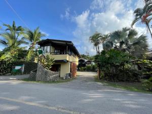 dom przy drodze z palmami w obiekcie Perla Negra Beachfront w mieście Puerto Viejo