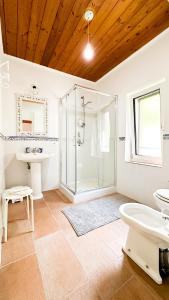 馬拉泰亞的住宿－B&B La Terazza Sul Cielo di Maratea，带淋浴、盥洗盆和卫生间的浴室