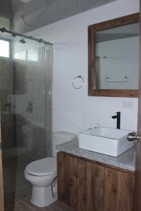 uma casa de banho com um lavatório, um WC e um espelho. em Hotel Campestre Sueño del Abuelo em Pereira