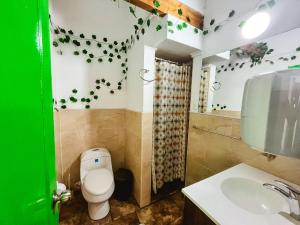a bathroom with a toilet and a sink at Hostal Casa Guadalupe in Medellín