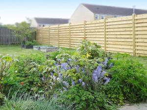 a garden with a fence and some purple flowers at 6 person holiday home in R dby in Rødby
