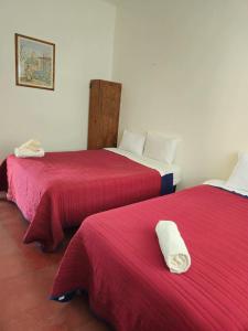 Φωτογραφία από το άλμπουμ του Hostal Azulejo Cuernavaca σε Amatitlán