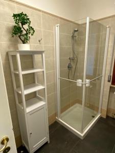 una ducha con una puerta de cristal y una planta en un estante en Sunbath House Pisa - Free Parking - Near Pisa Center, en Pisa