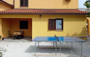 Stolní tenis v ubytování Gorgeous Home In Vodnjan With Wifi nebo okolí