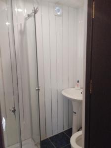 a bathroom with a shower and a toilet and a sink at Dava in Gyumri