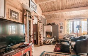 a living room with a television and a fireplace at 5 Bedroom Gorgeous Home In Engerdal in Nymoen