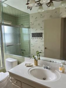 een badkamer met een wastafel, een toilet en een spiegel bij Beach Happy 4bedrooms-3bath steps to beach in Virginia Beach +27 foto's