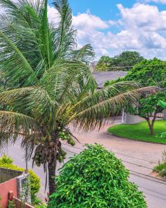 a palm tree on the side of a street at Cantinho do Tigela in Bananeiras +12 photos