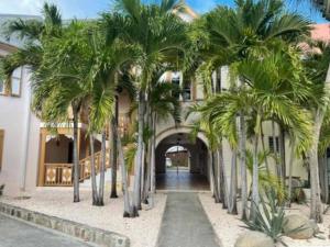 a row of palm trees in front of a building at Appartement bord de mer avec climatisation, piscine et parking - FR-1-734-61 in Orient Bay