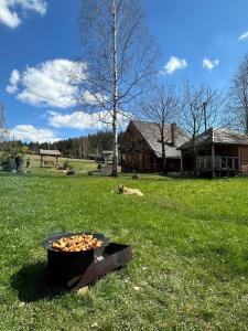 Billede fra billedgalleriet på Кулуар Kuluar i Iltsi