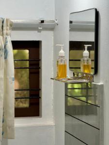 a mirror and two soap bottles on a shelf at Sanctuary View Homestay Thattekad in Ernakulam