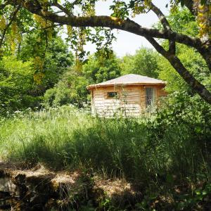 un petit bâtiment en bois dans un champ d'herbe dans l'établissement Domaine De Pradines, à Lanuéjols