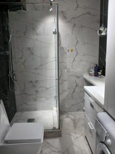 TurksibにあるЖК "Радужный" Аэропорт 1 комнатнаяのシャワー、トイレ、洗面台付きのバスルーム