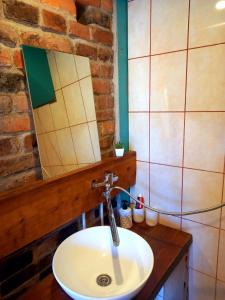y baño con lavabo y espejo. en Raja Country House, en Koldamäe