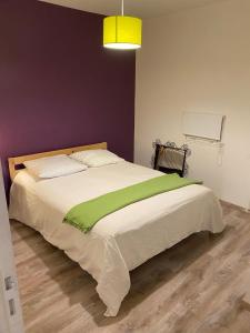 1 dormitorio con 1 cama grande con manta verde en Le Caveau De Vergisson One Bedroom Appartment, en Vergisson