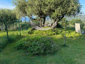 Κήπος έξω από το CASA VISTA MARE - Superb garden and Parking included +67 φωτογραφίες