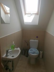 a bathroom with a toilet and a sink with a skylight at Pista Papa Tanyája in Balatongyörök