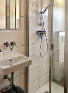uma casa de banho com um chuveiro e um lavatório. em Ferienwohnung Gartenblick em Amerang